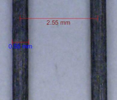 Paraxial polymer-carbon-graphite electrodes, each 0.55mm in diameter.