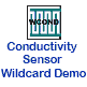 title=Version 4 Conductivity Wildcard Demo Program